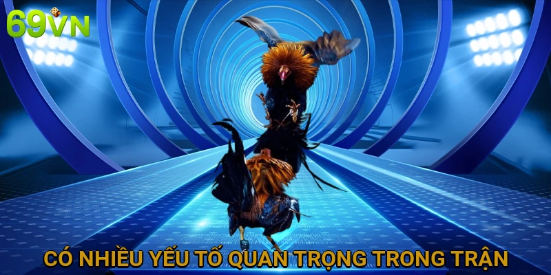 co-nhieu-yeu-to-quan-trong-trong-tran