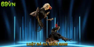 luat-da-ga-mien-nam