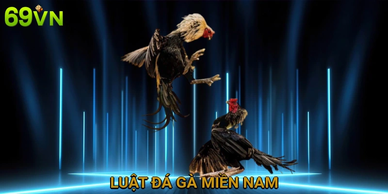 luat-da-ga-mien-nam
